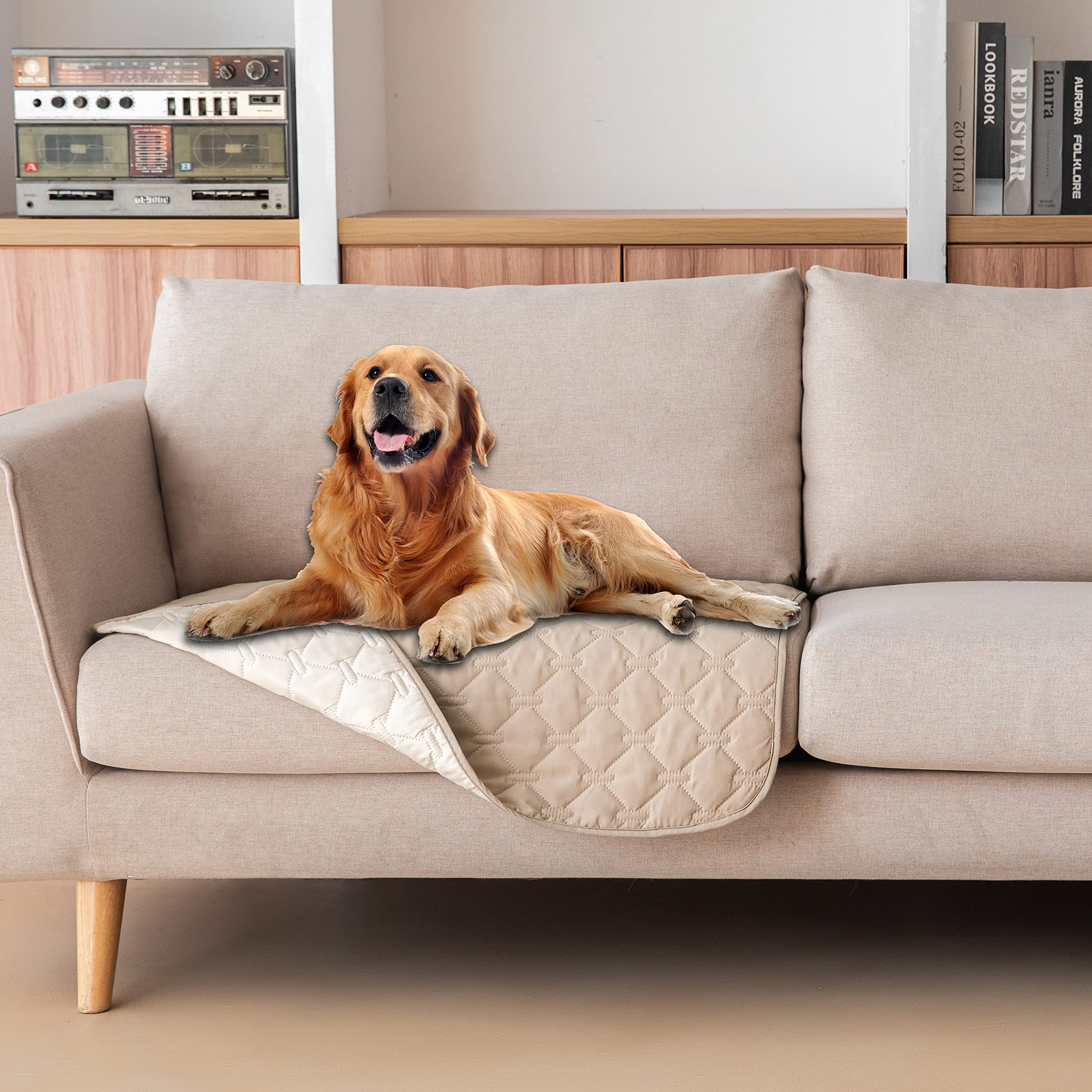 gogobunny dog bed cover waterproof double-sided protects furniture from spills.
