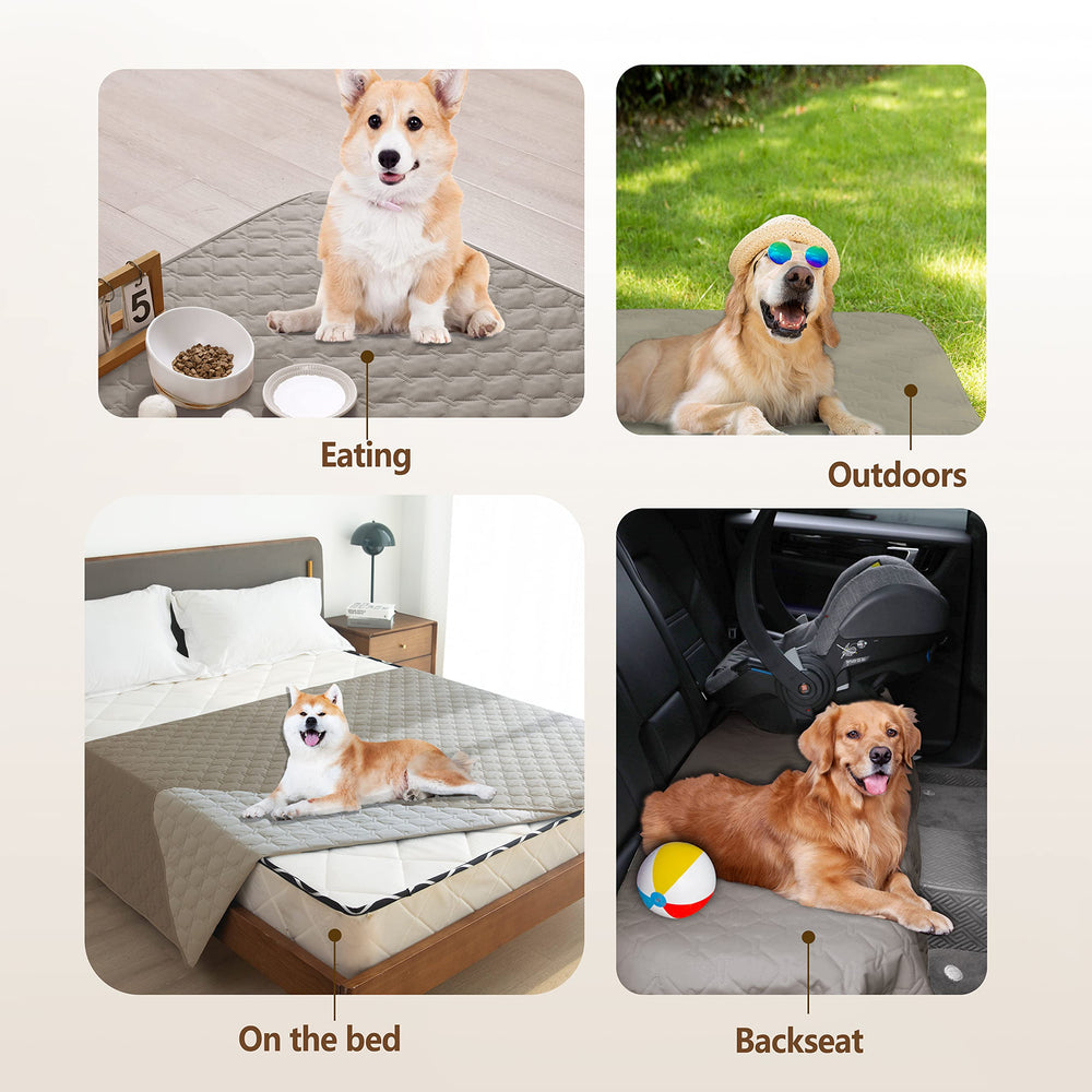 Gogobunny dog blanket on sofa provides furniture protection from scratches.