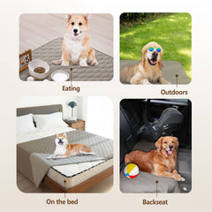 Gogobunny dog blanket on sofa provides furniture protection from scratches.