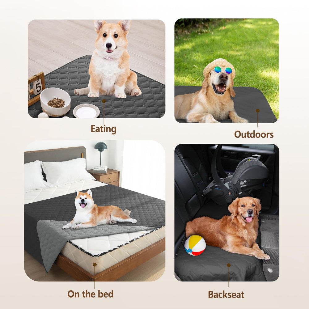 Gogobunny blanket suited for indoor and outdoor use during travel