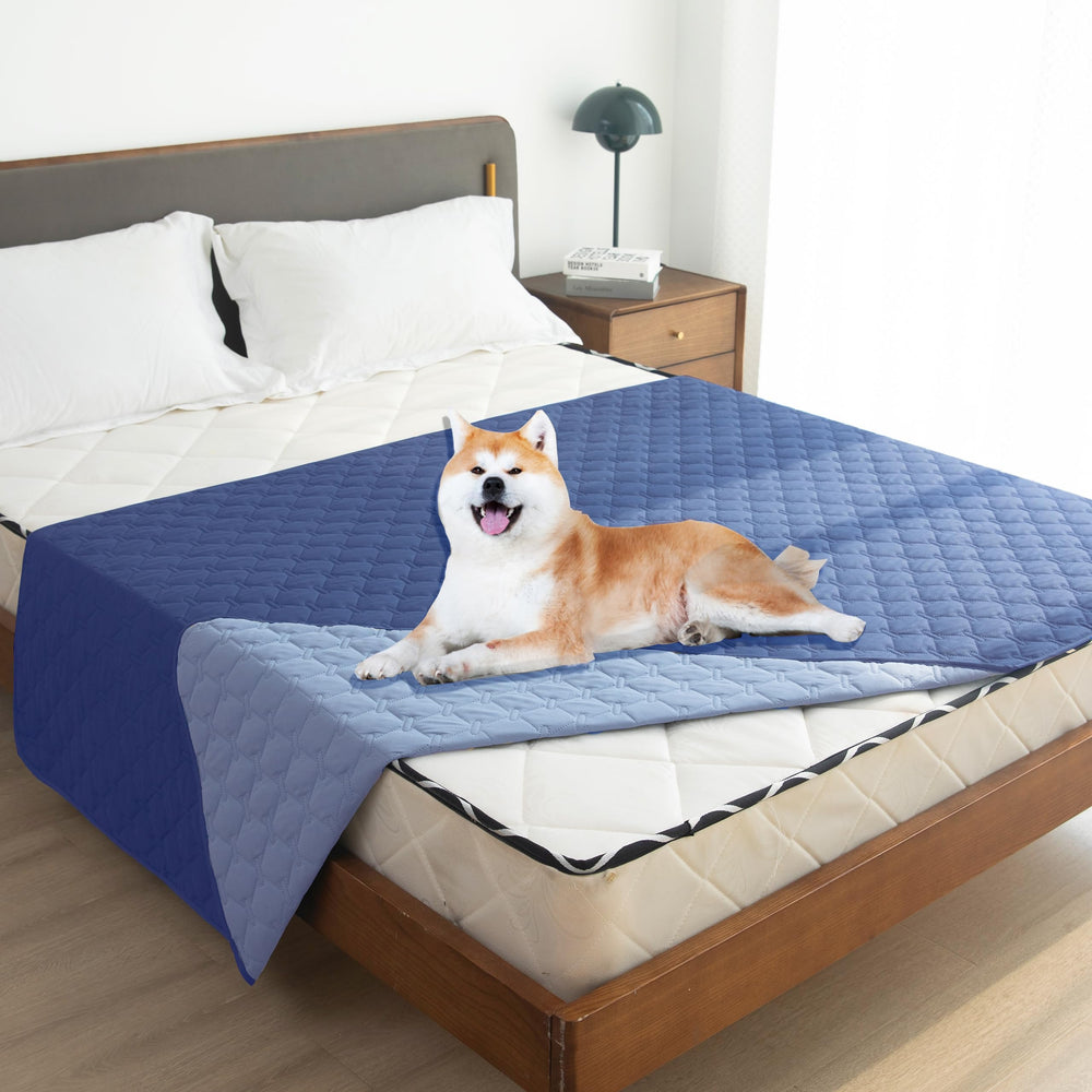 gogobunny dog blanket on sofa with dog demonstrates furniture protection and comfort