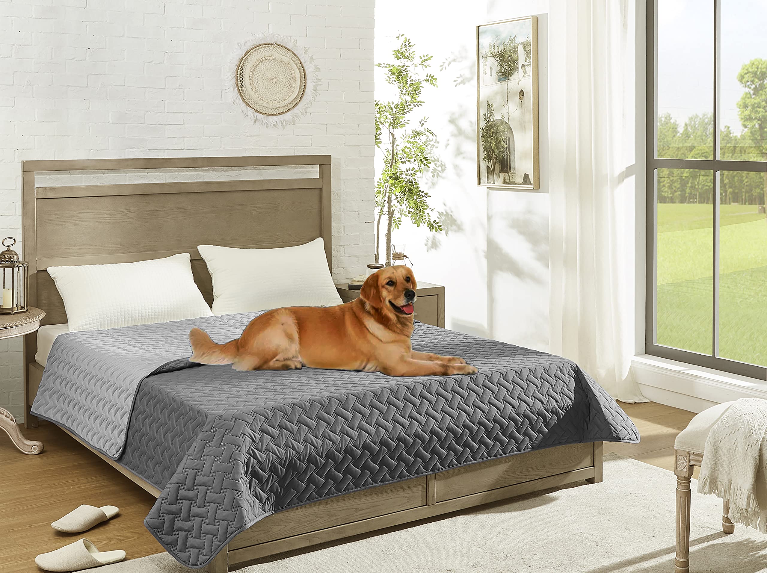 Gogobunny dog blanket reinforced stitching withstands frequent washing.