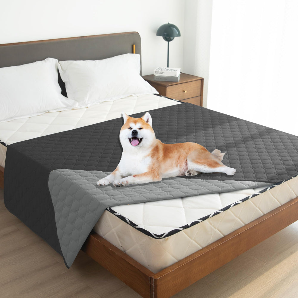 Gogobunny dog blanket protects sofa from scratches and saliva