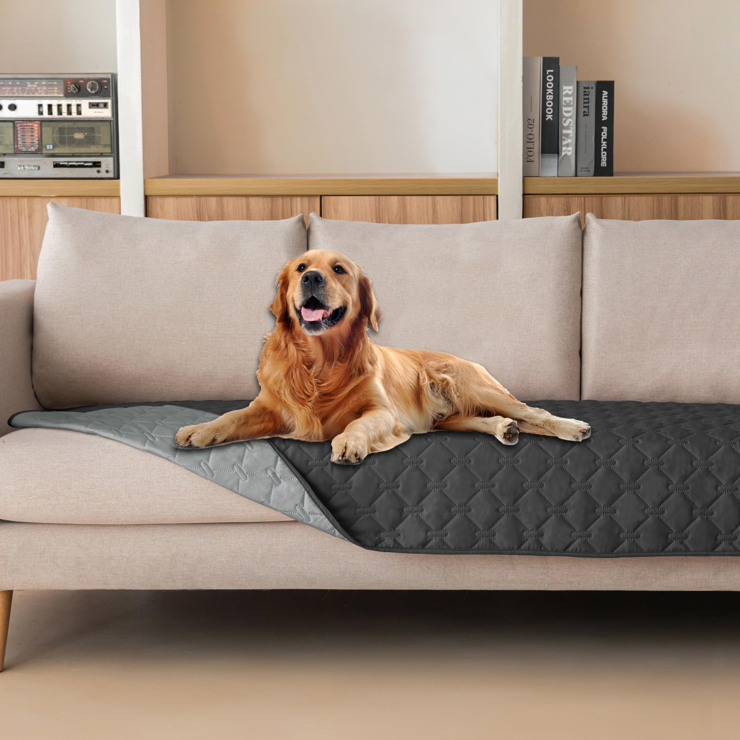 gogobunny double-sided waterproof dog blanket shows durable protection for furniture and messes