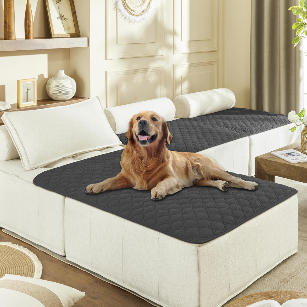 Gogobunny double-sided waterproof dog blanket outer layer protects furniture from spills.