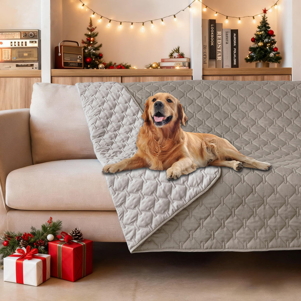 gogobunny double waterproof blanket on darkstone keeps furniture protected and paws dry
