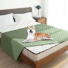 gogobunny furniture protector on a sofa prevents scratches and saliva marks