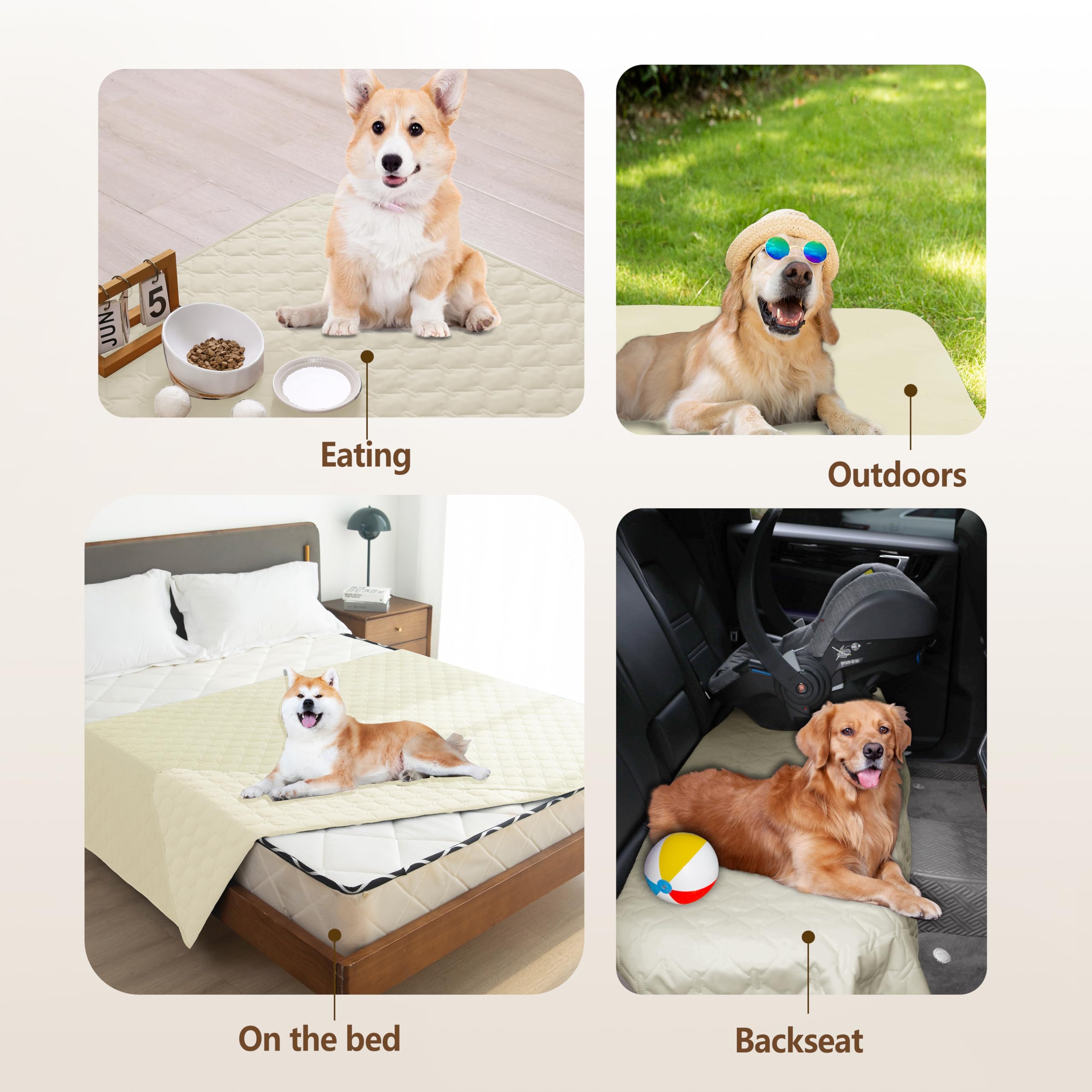 Gogobunny indoor-outdoor use demonstrated for travel and picnics