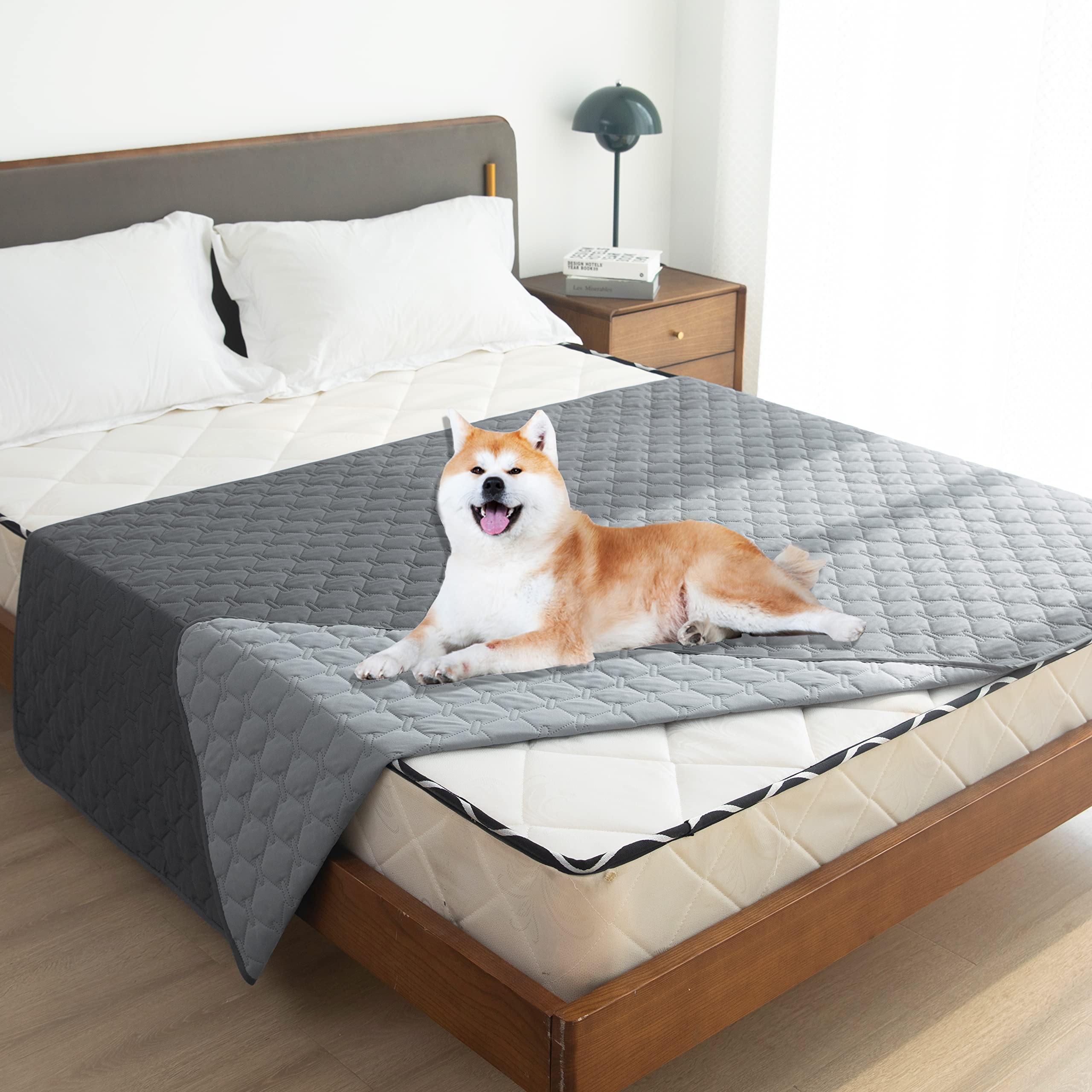 Gogobunny indoor-outdoor use for travel or picnic keeps pets dry