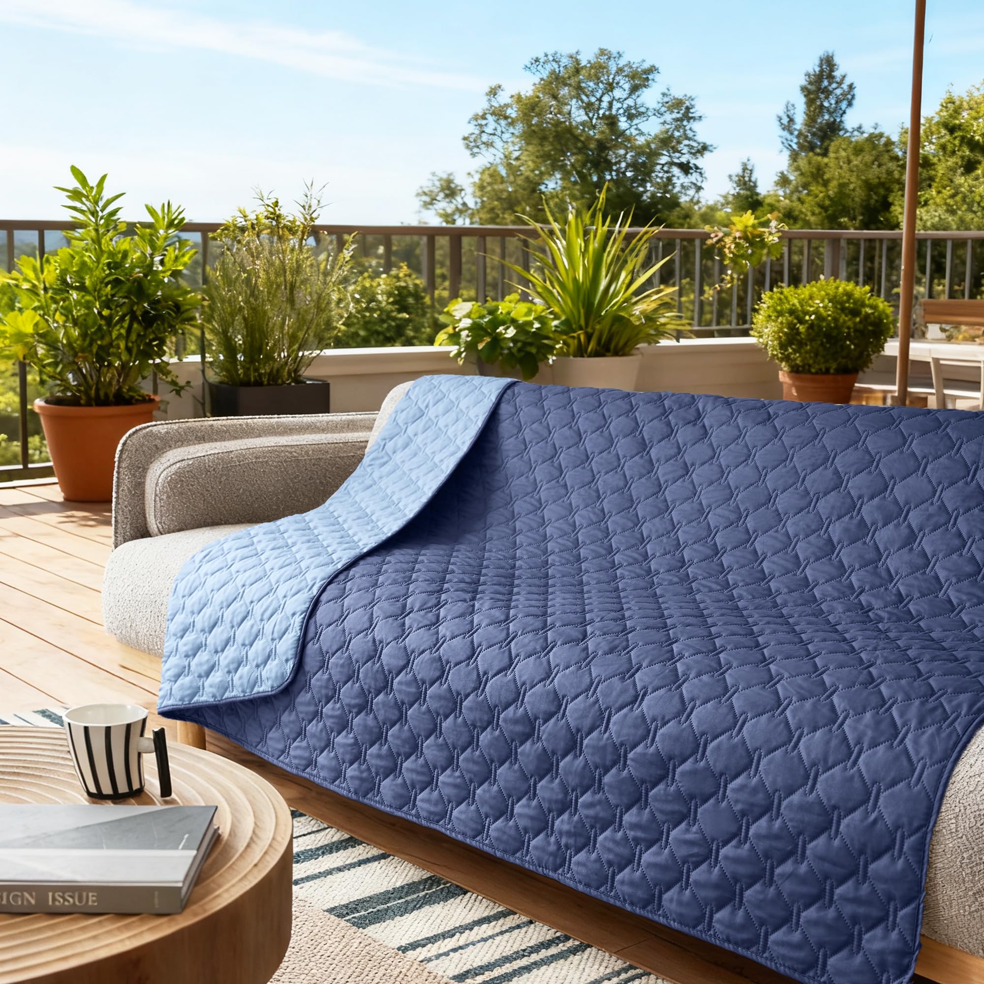 Gogobunny large-dog-coverage blanket protects couches and beds from wear.