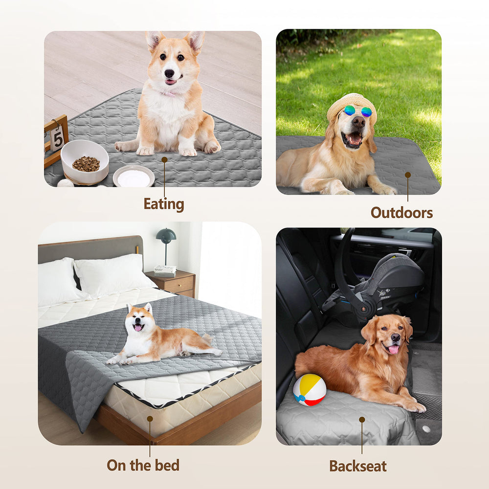 Gogobunny pack of 1 provides one room-ready protective bed cover