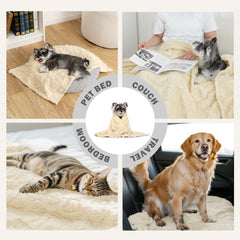 gogobunny pet bed setup with blanket for cozy naps.