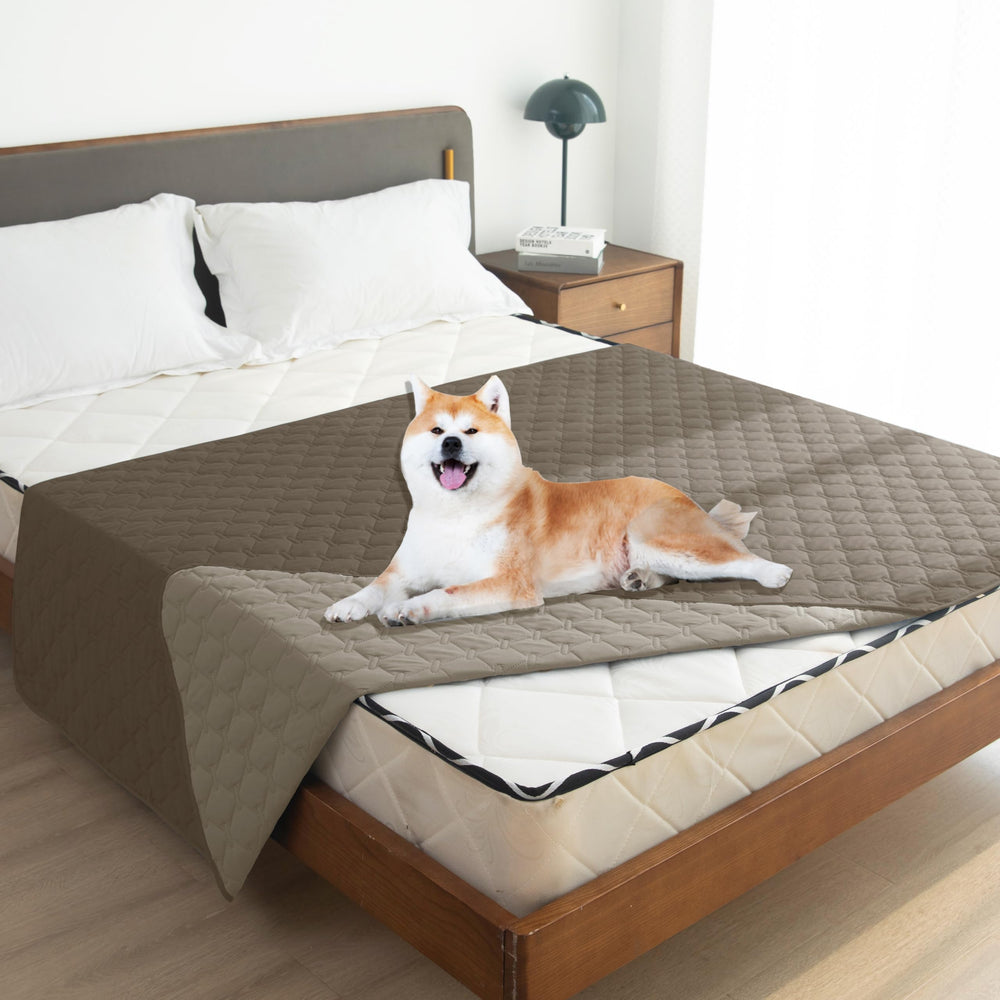 gogobunny plaid-pattern design adds elegant style to any room