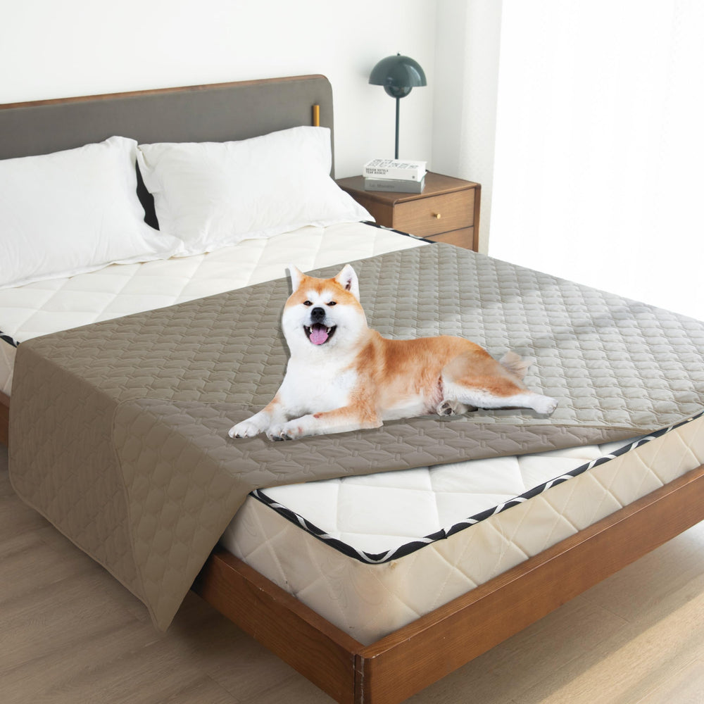 gogobunny scratch-proof furniture protector corner shot shows durable pet protection