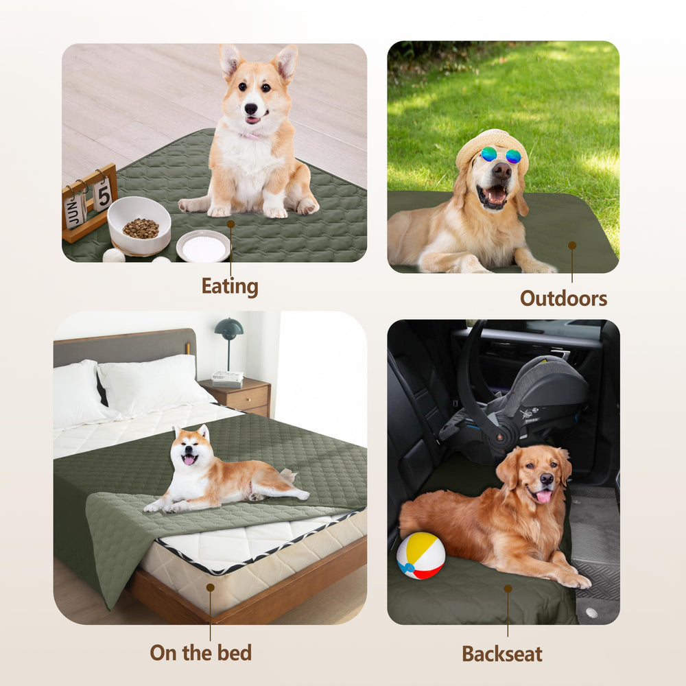 Gogobunny soft plush fabric closeup highlights cozy pet comfort.