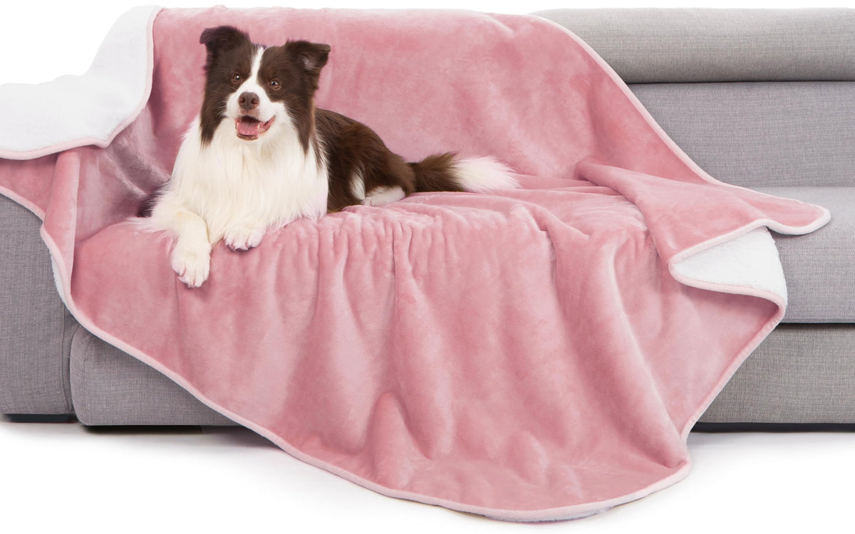 gogobunny waterproof bed blanket in pink coverage protects furniture from spills