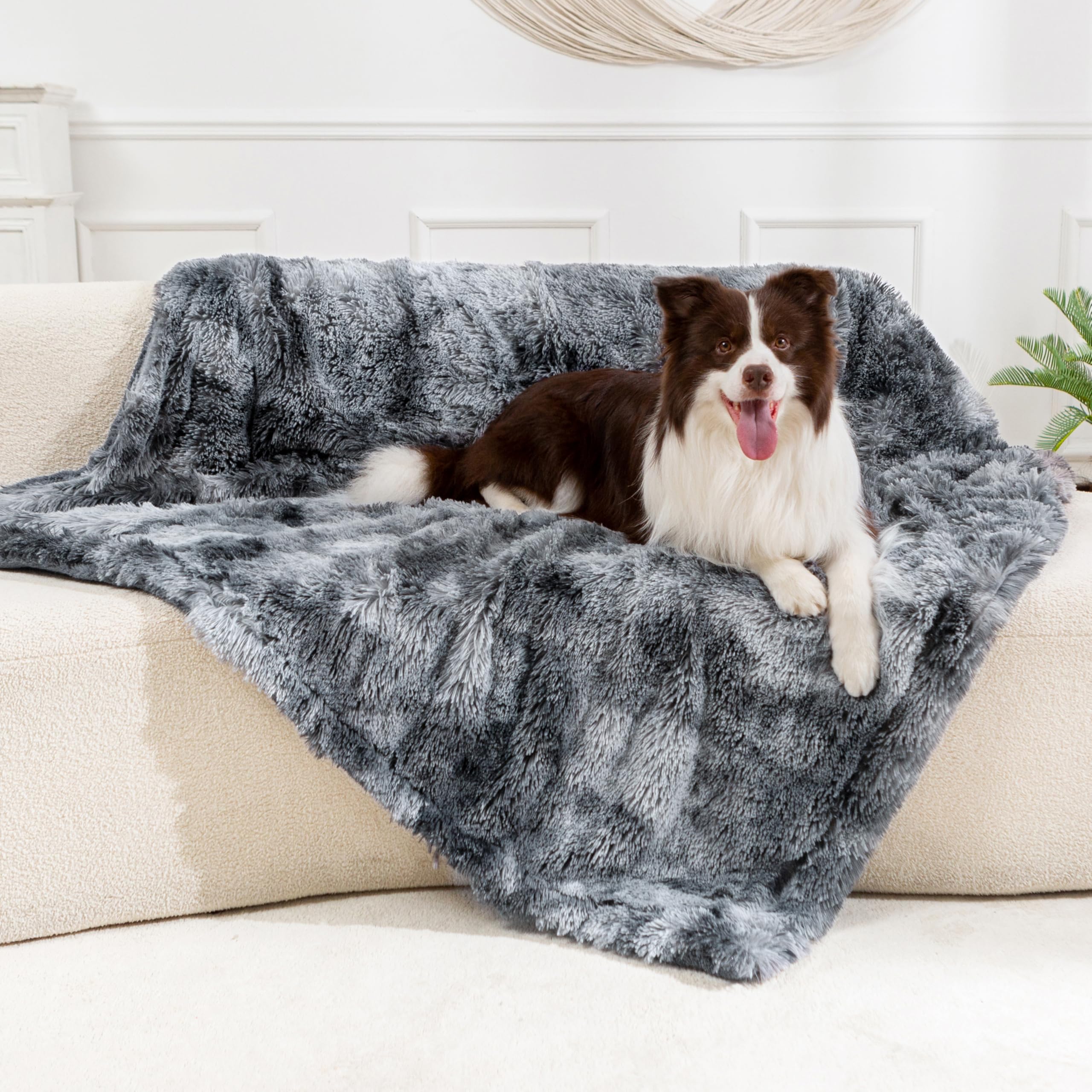 Gogobunny waterproof dog blanket 40x50 inch size suitable for large dogs