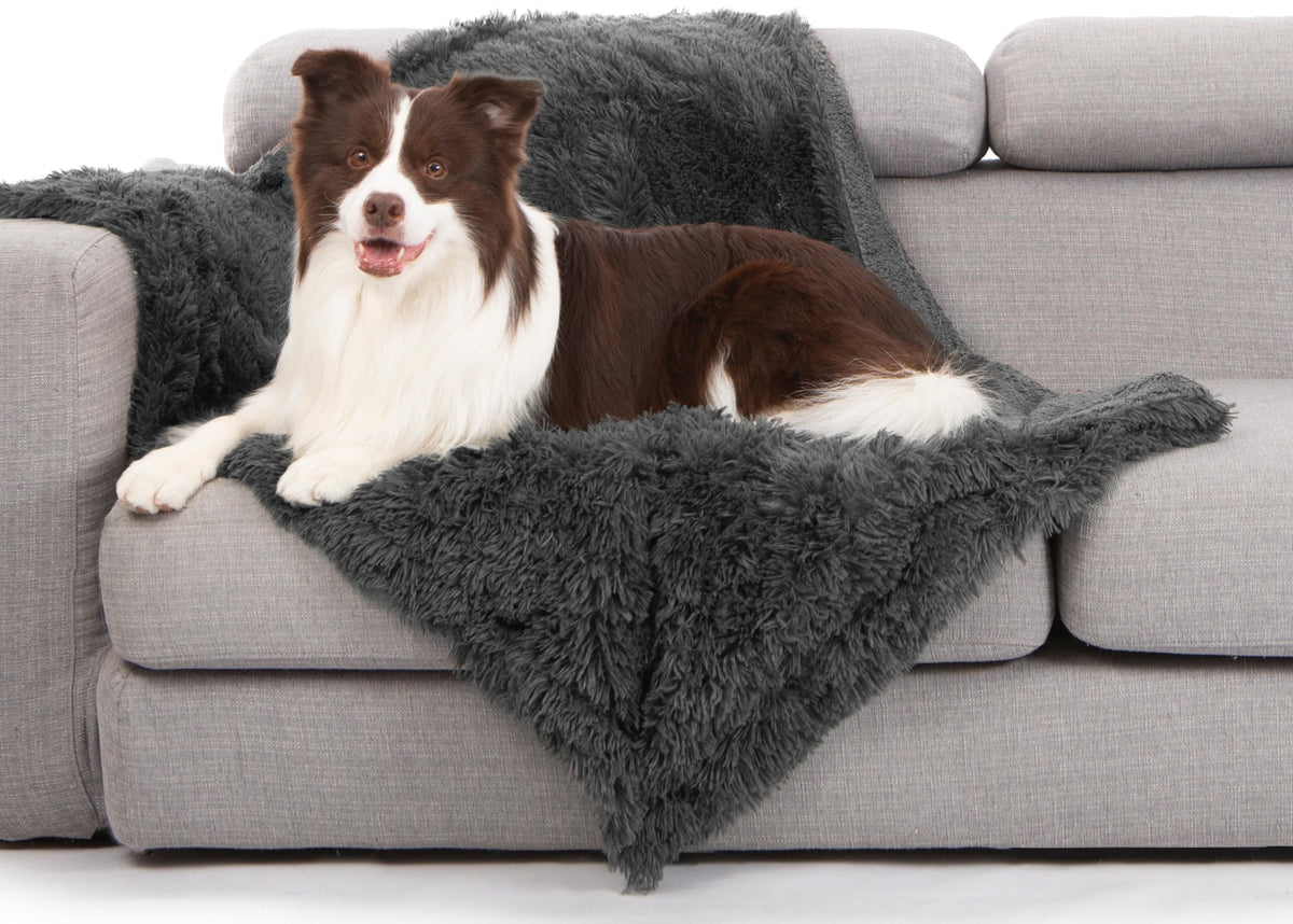 gogobunny waterproof dog blanket grey on sofa shows furniture protection and dry comfort.