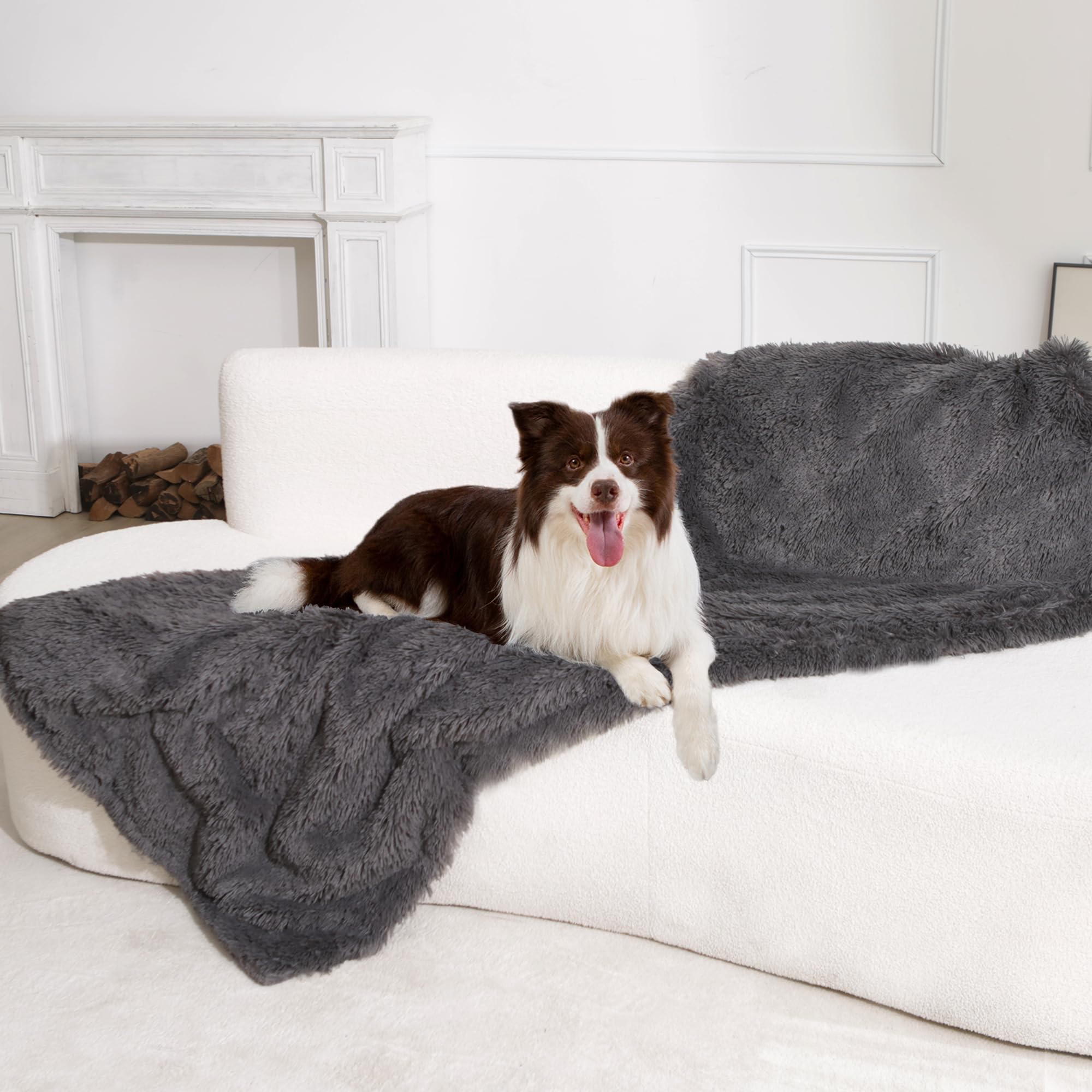 gogobunny waterproof dog blanket main shot demonstrates sofa protection and durability