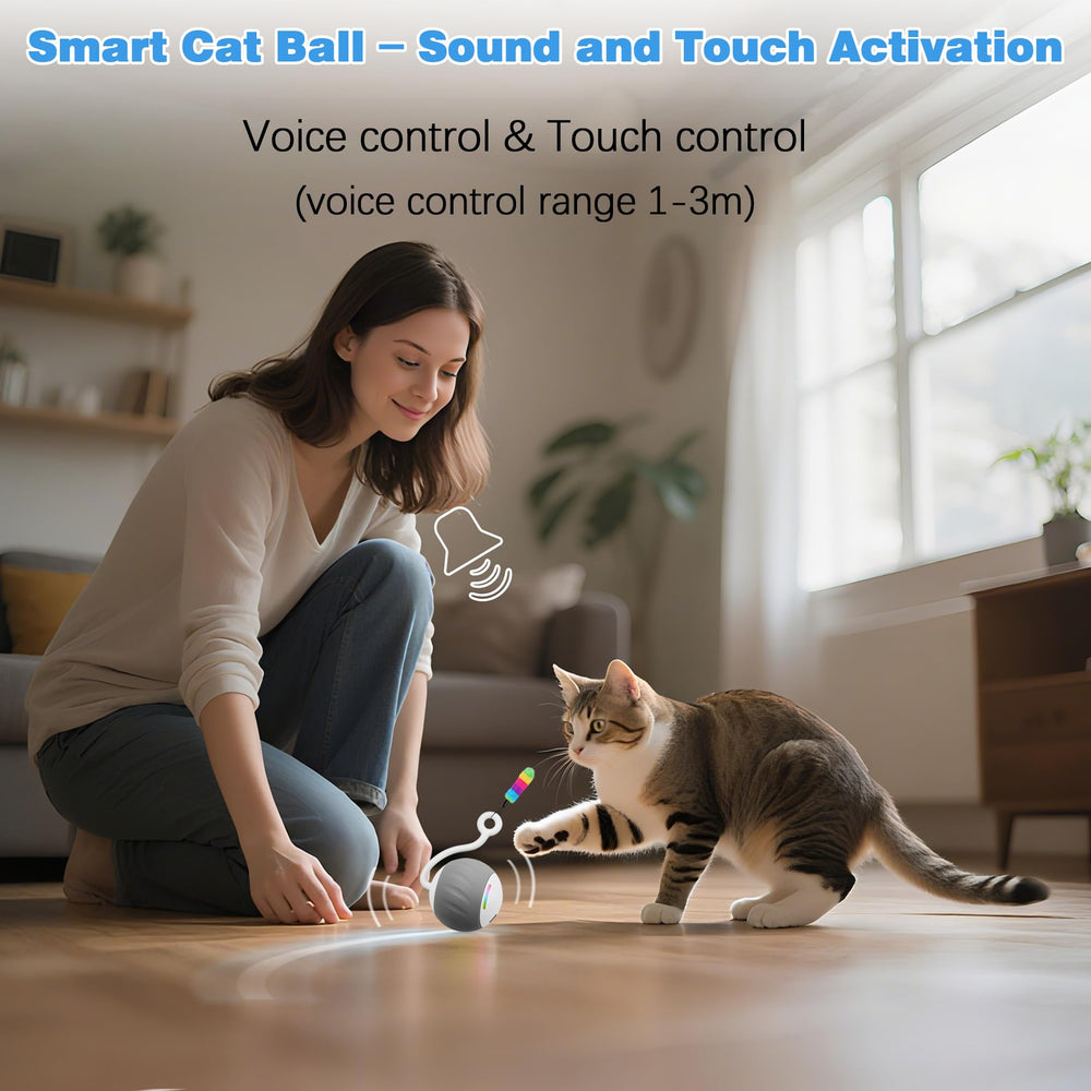 GOGODOGYA cat toy with anti-noise silicone wheels for quiet play.