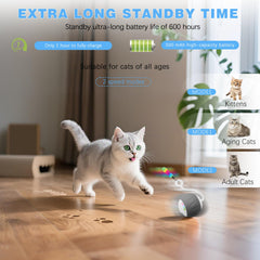 GOGODOGYA cat toy with tail feathers and lights highlights chasing excitement for bored cats.