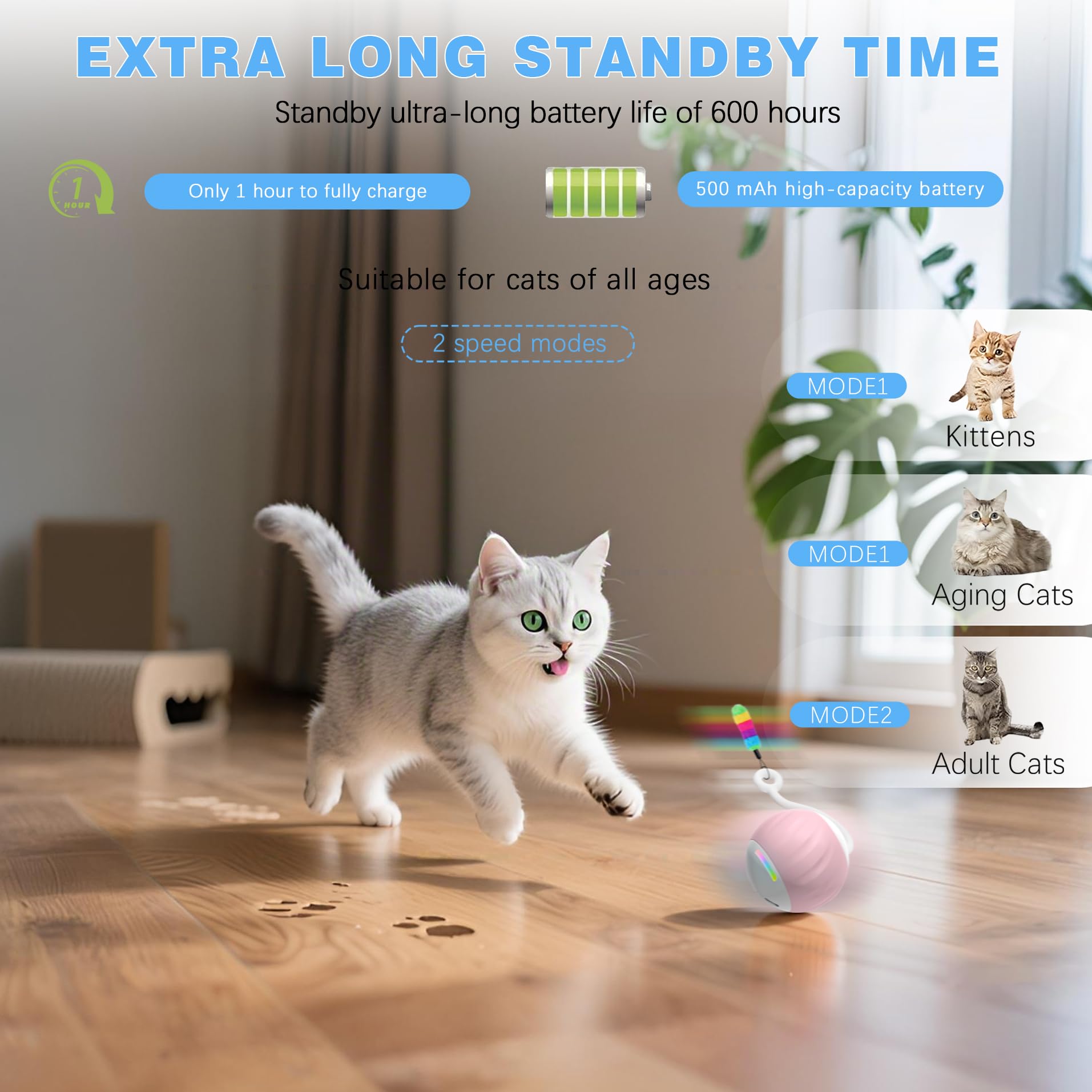 GOGODOGYA interactive cat ball LED lights enhance nighttime chasing and visual appeal.