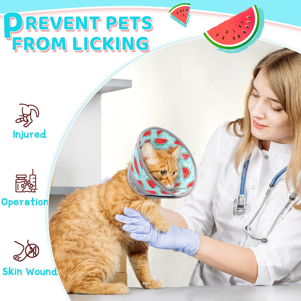 GoGoPaw strawberry-pattern cone stylish recovery option