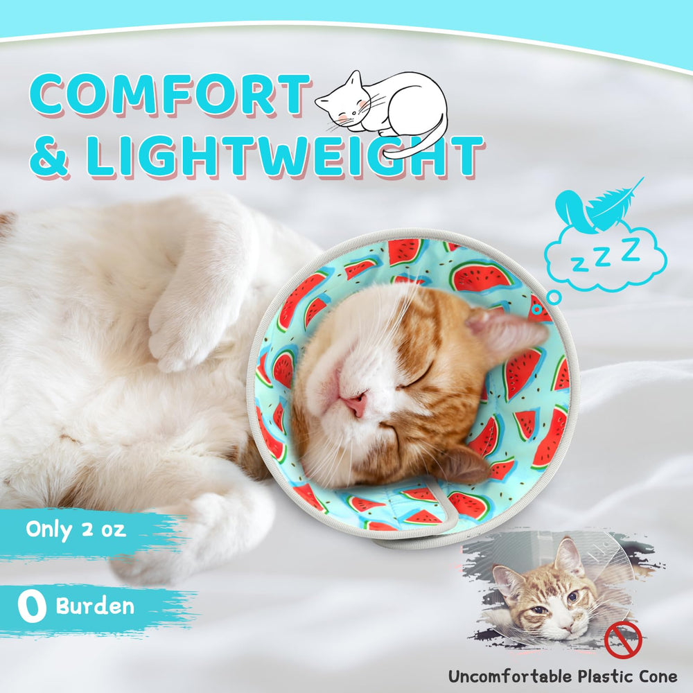 GoGoPaw cat cone collar blue side fit with adjustable buckle and Velcro