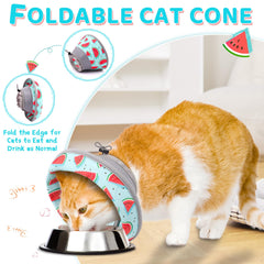 GoGoPaw waterproof EVA cone material easy to clean after play