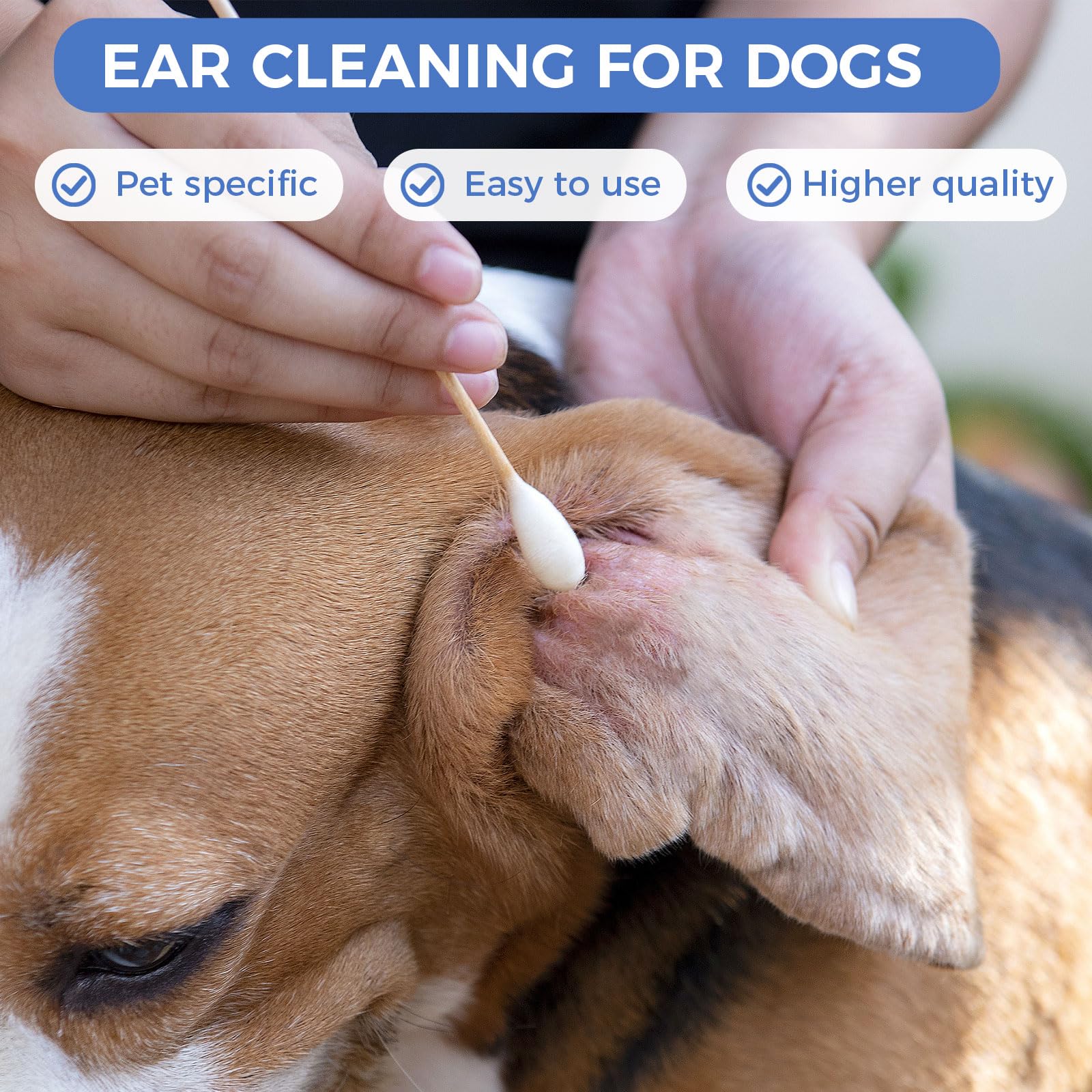 Gold Honey dog ear swabs high absorbency for quick, mess-free maintenance.