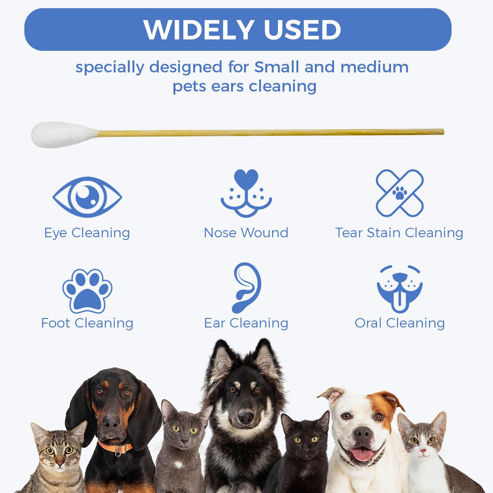 Gold Honey dog ear swabs long 6inch reach deep ear areas with comfort.