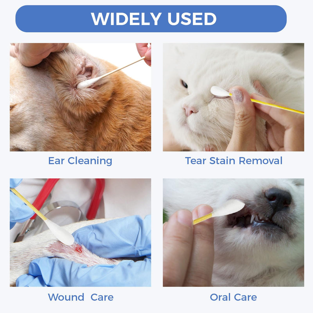 Gold Honey dog ear swabs multipurpose tool for gentle eye or nose care.