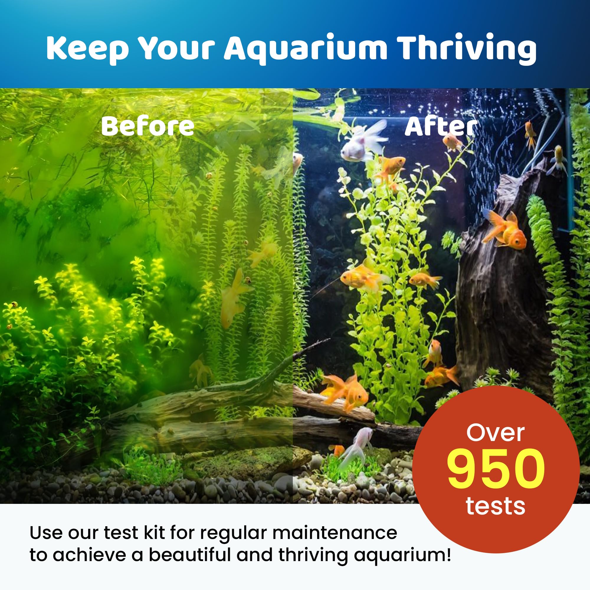 GOLD LABEL PET CARE water test strips provide quick-read checks.