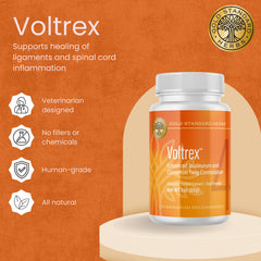 Voltrex helps a dog walk more comfortably with improved mobility