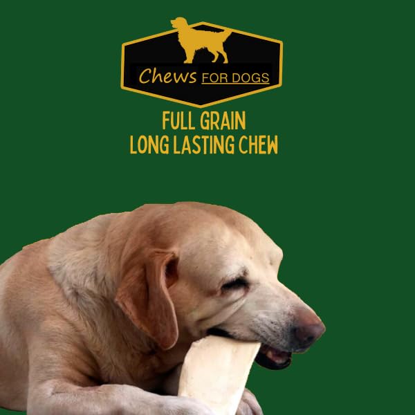 GOLDEN Chews dog bowl scene demonstrates safe, shared chew sessions.