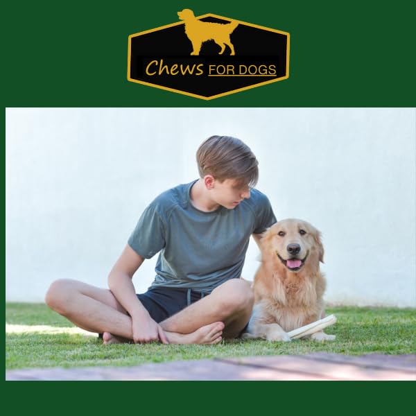 GOLDEN Chews roll helps curb destructive chewing and protects furniture during playtime.