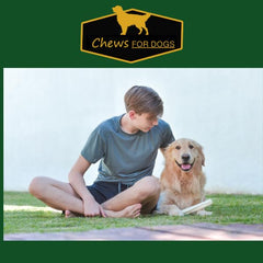 GOLDEN Chews roll helps curb destructive chewing and protects furniture during playtime.
