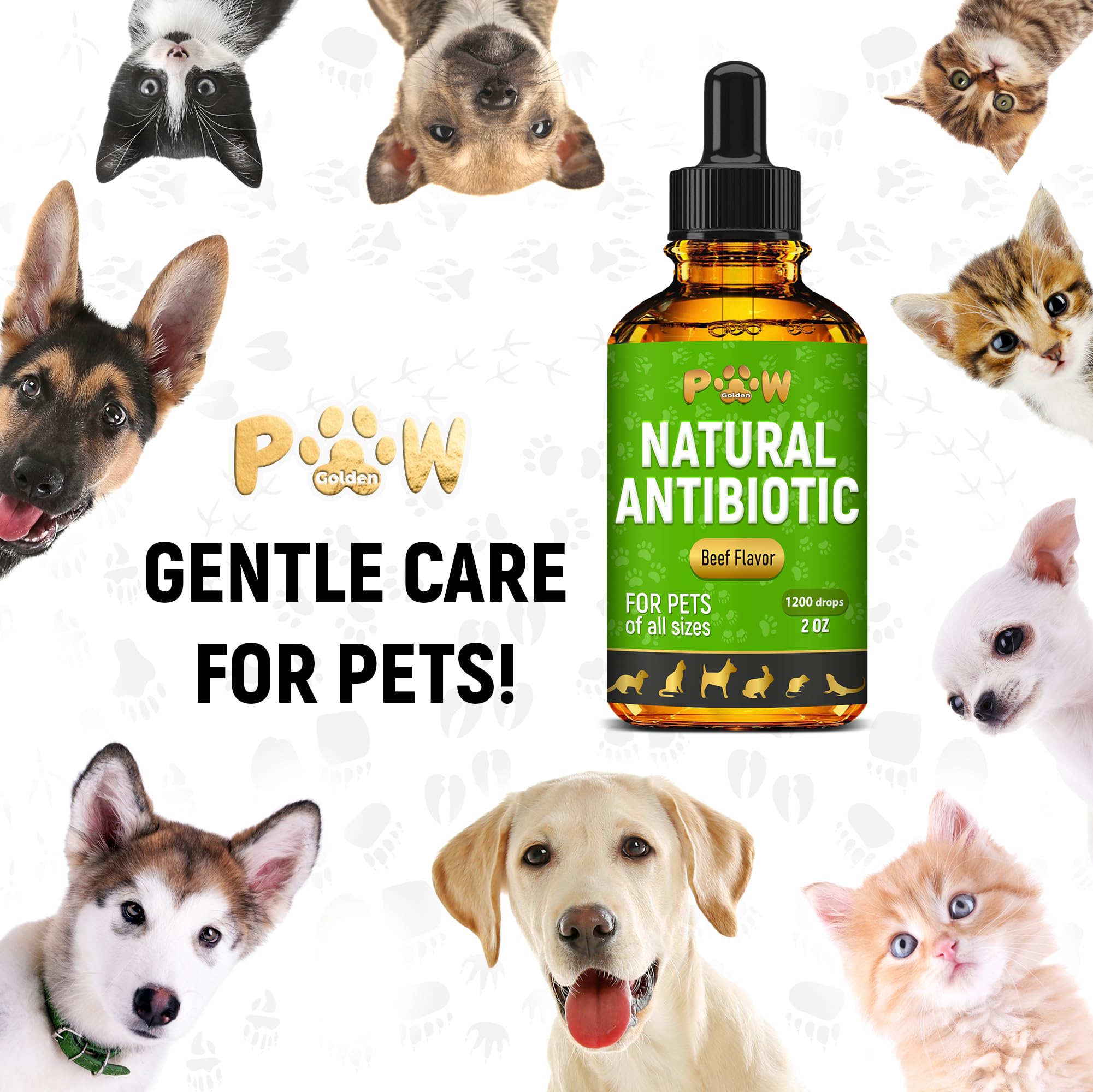 Golden Paw antibiotics 2oz packaging inviting easy dosing and ongoing wellness.