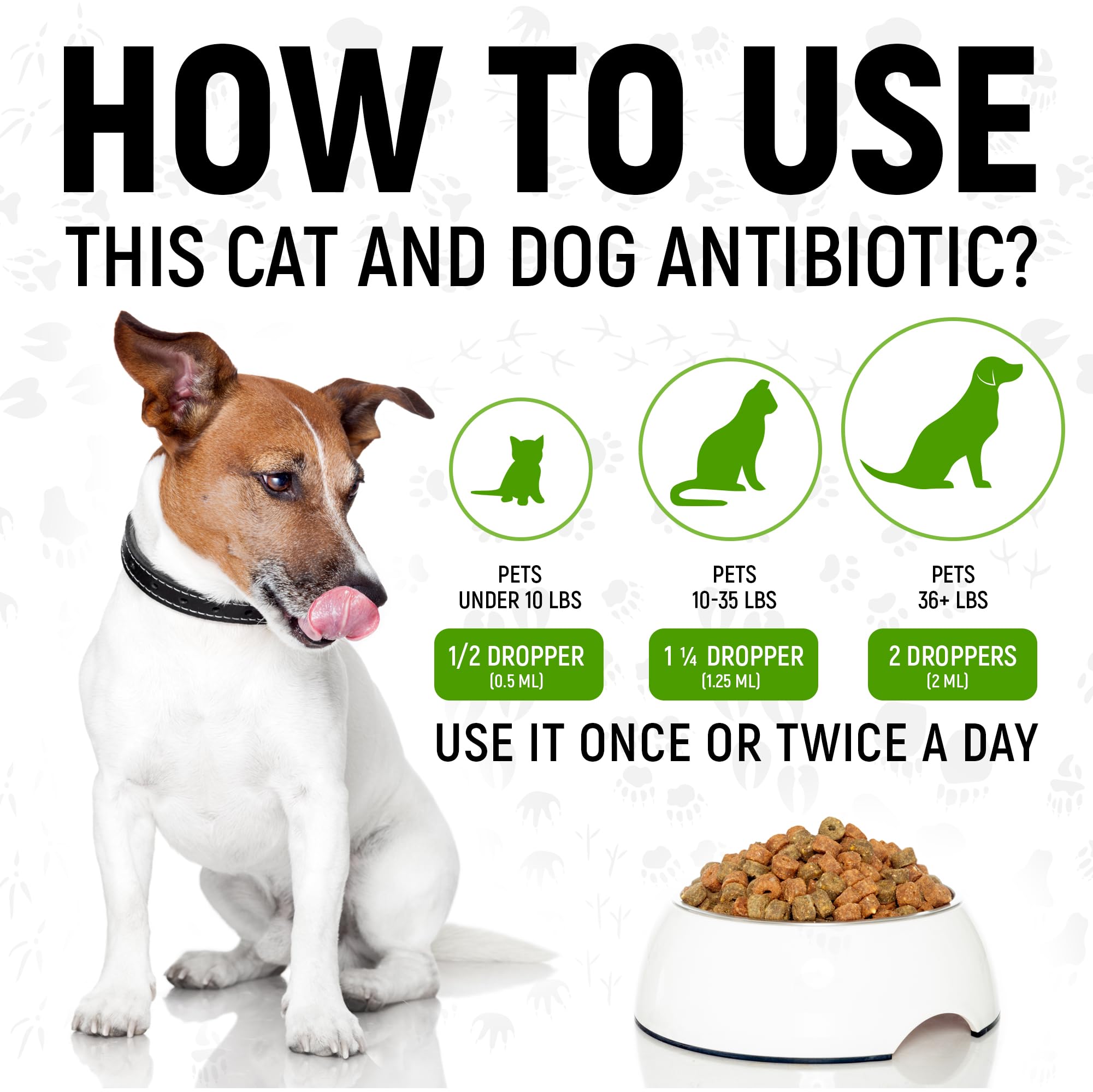 Golden Paw antibiotics ingredients highlight digestive support ingredients.