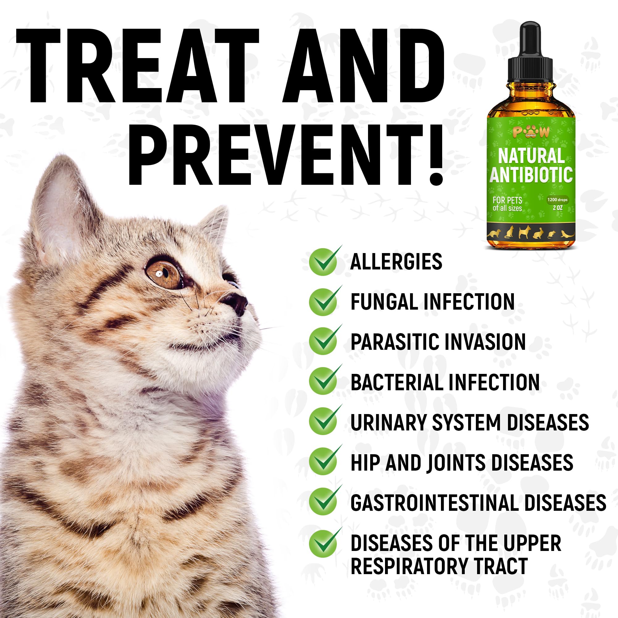 Golden Paw antibiotics drops ready for dose placement for dogs and cats