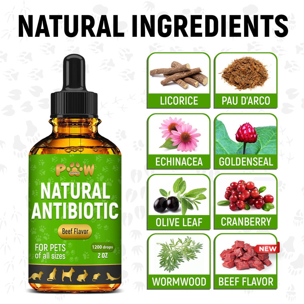 Golden Paw antibiotics dogs and cats usage image for meal-time assistance.