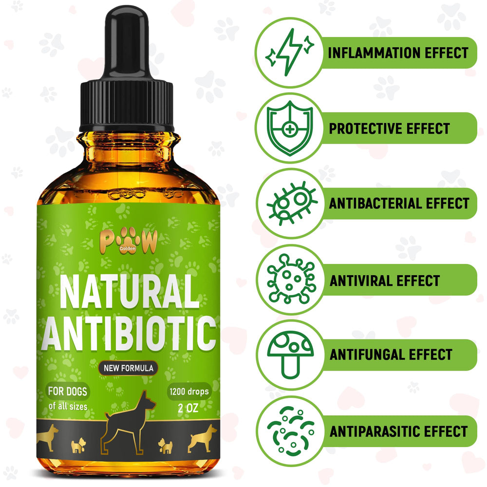 Golden Paw antibiotics dropper showing precise dosing.