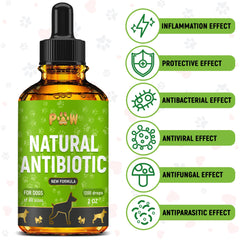Golden Paw antibiotics dropper showing precise dosing.