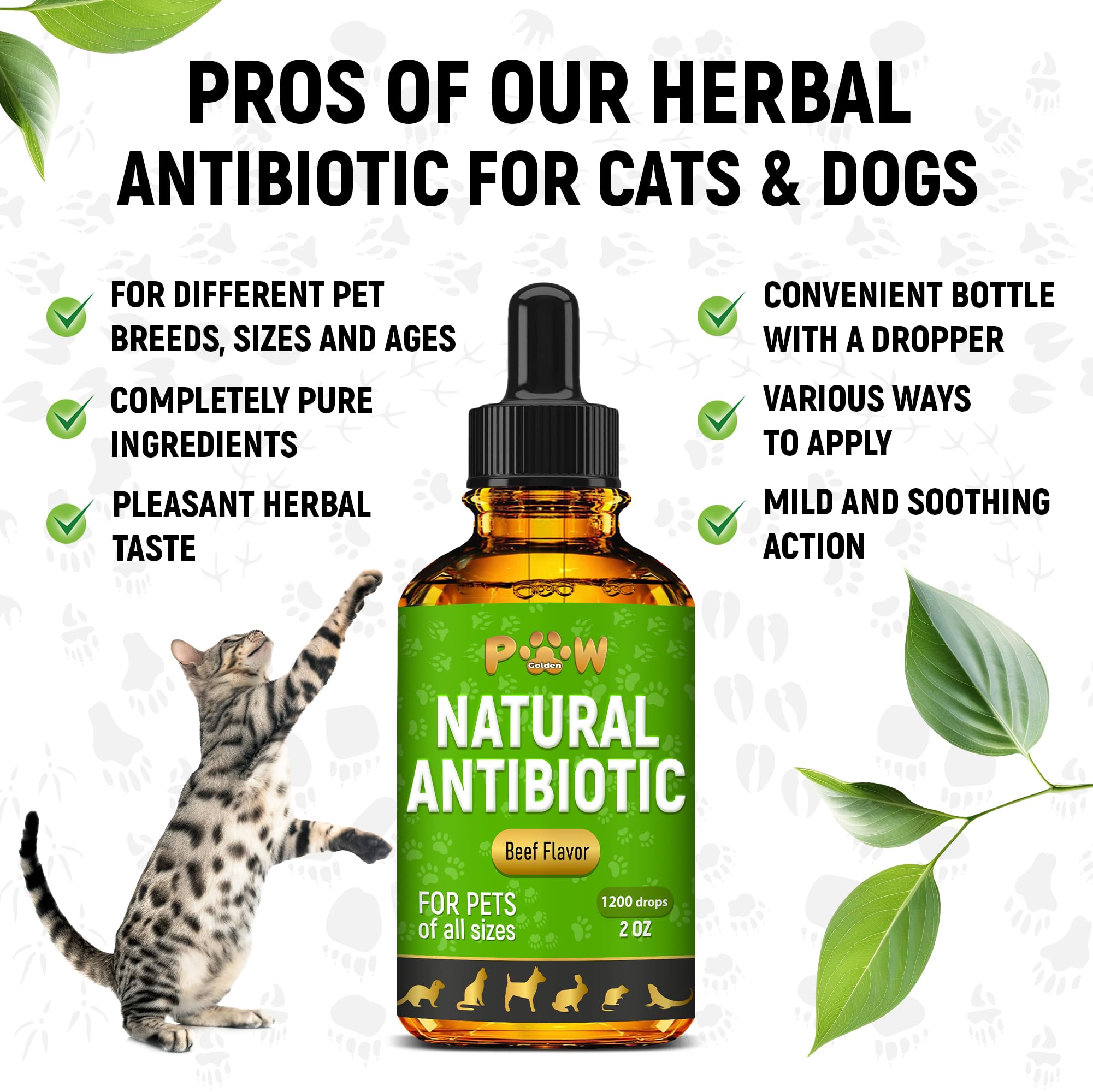 Golden Paw antibiotics front label emphasizing beef flavor and all-breed suitability.