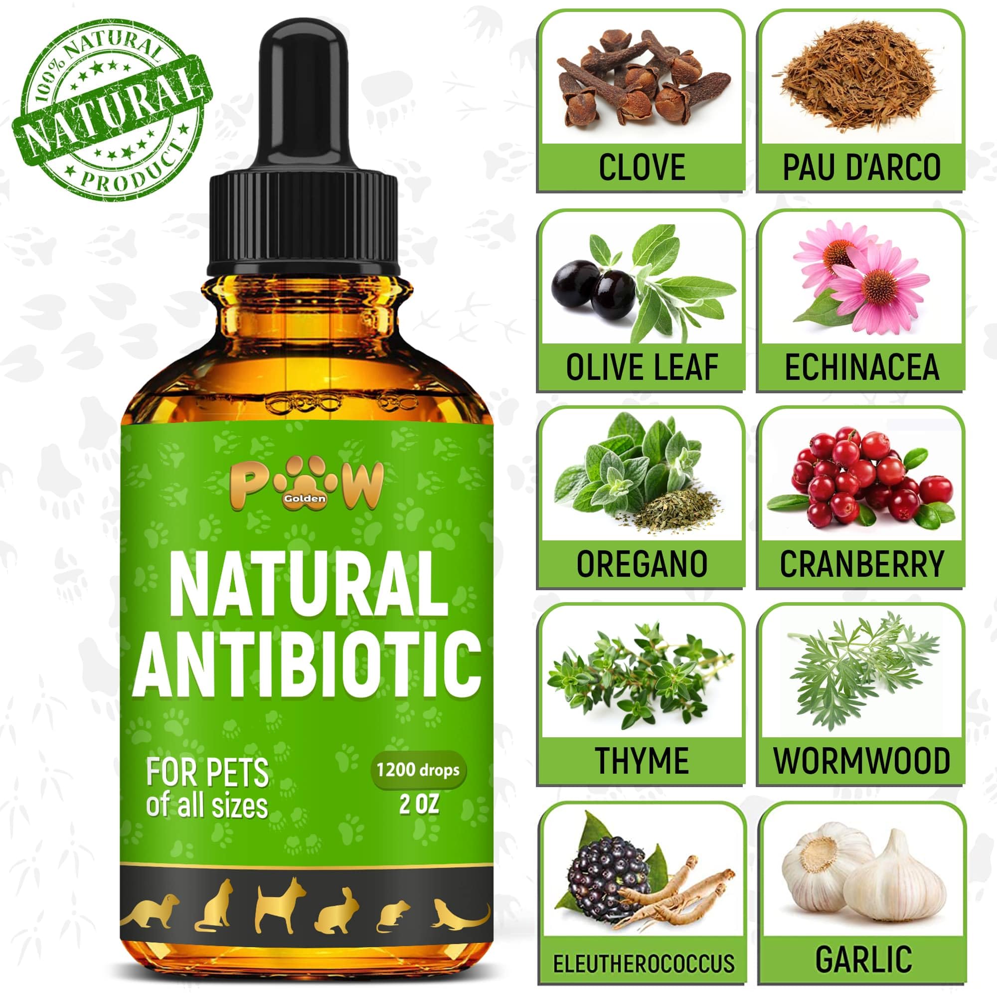 Golden Paw antibiotics Cranberry ingredient highlights urinary wellness potential