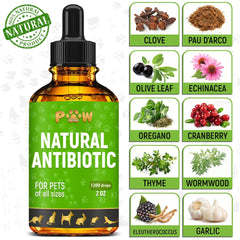 Golden Paw antibiotics Cranberry ingredient highlights urinary wellness potential