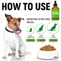 Golden Paw antibiotics Echinacea ingredient emphasizes daily support for pets