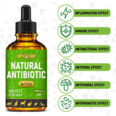 Golden Paw antibiotics liquid dropper demonstrates simple administration into mouth or food.