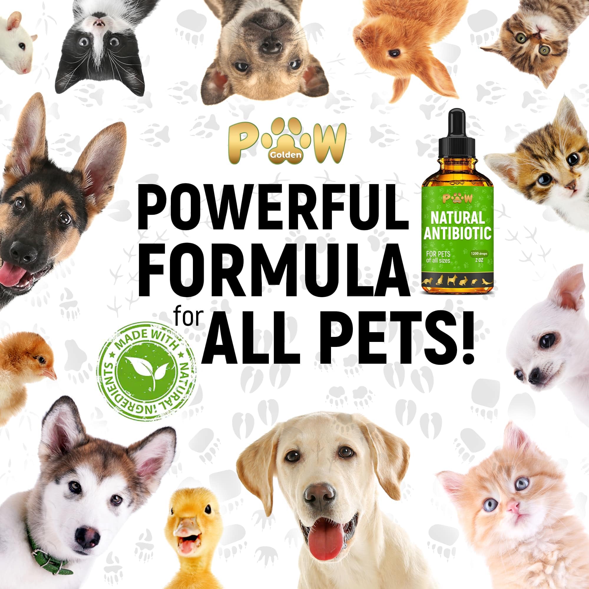 Golden Paw packaging label showcasing organic, care-focused pet wellness