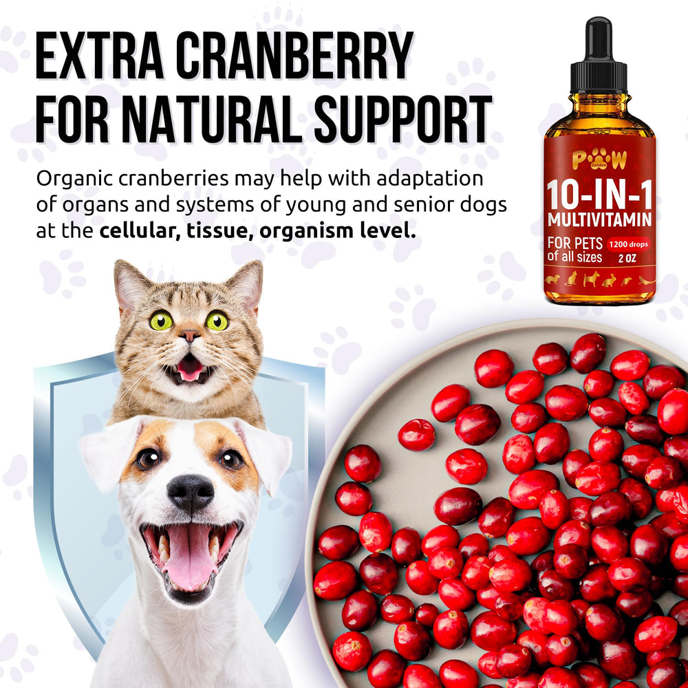 Golden Paw cat with glossy coat near the bottle for skin and coat support